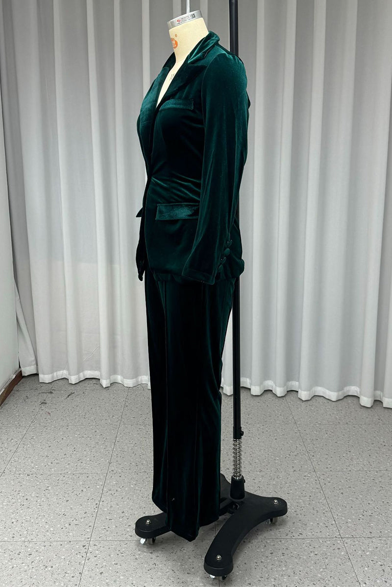 Casual Daily Buttons Velvet Turn-back Collar Long Sleeve Two Pieces