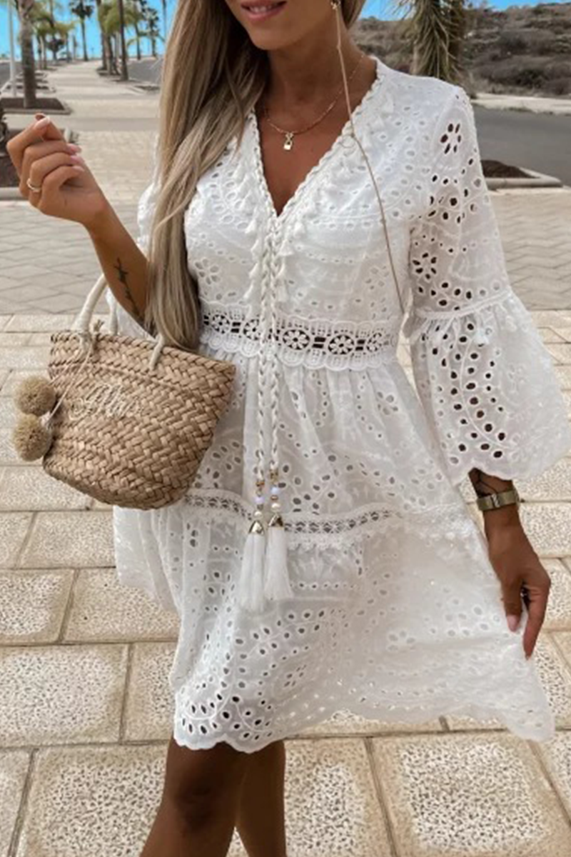 Fashion Solid Lace V Neck Cake Skirt Dresses