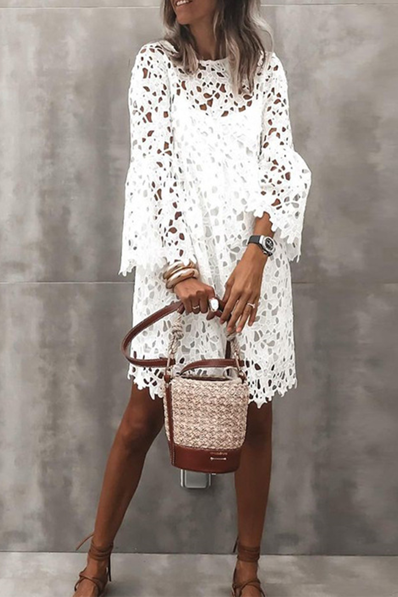 Fashion Solid Lace O Neck Lace Dress Dresses