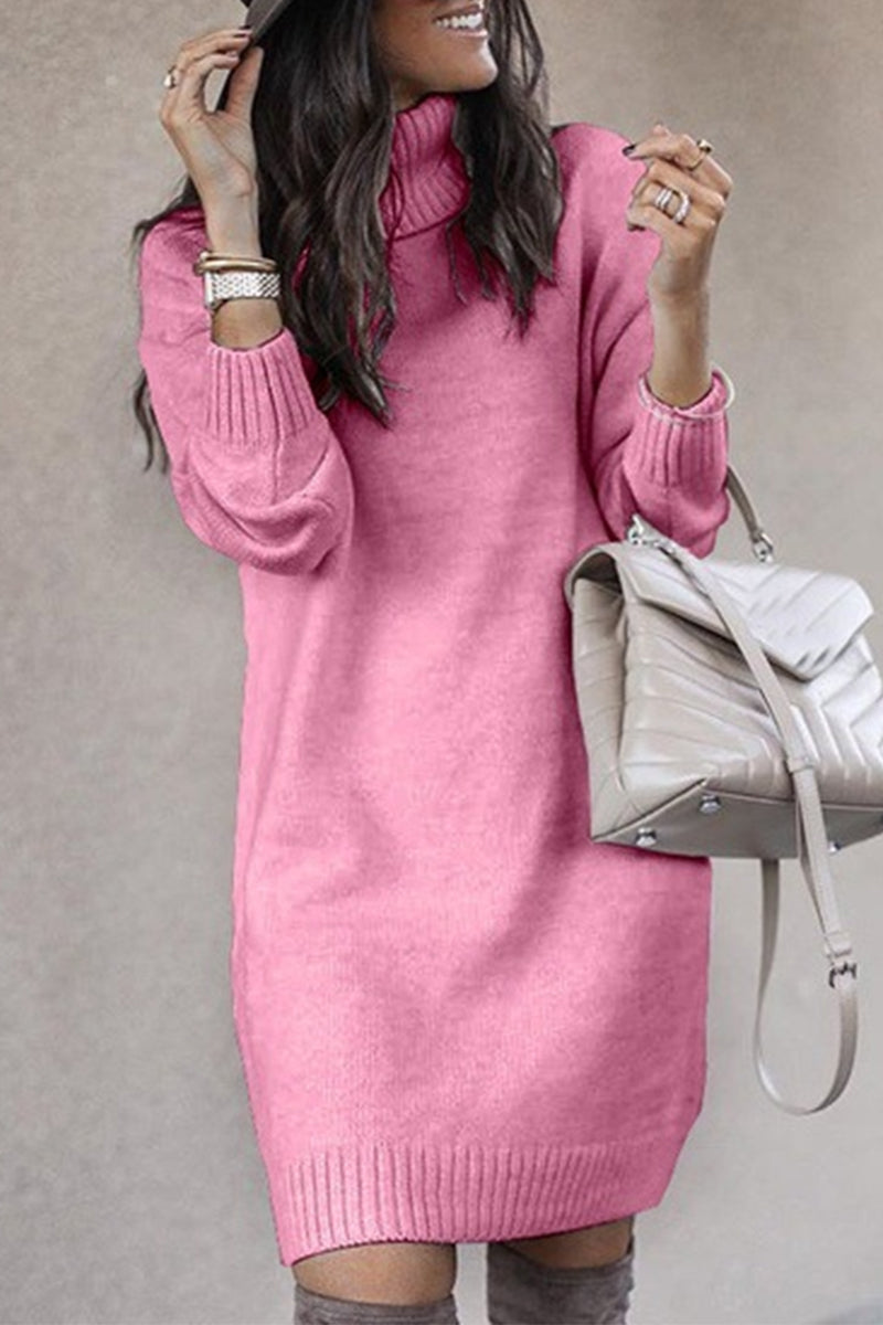 Casual Solid Color Turtleneck Sweaters(6 Colors)