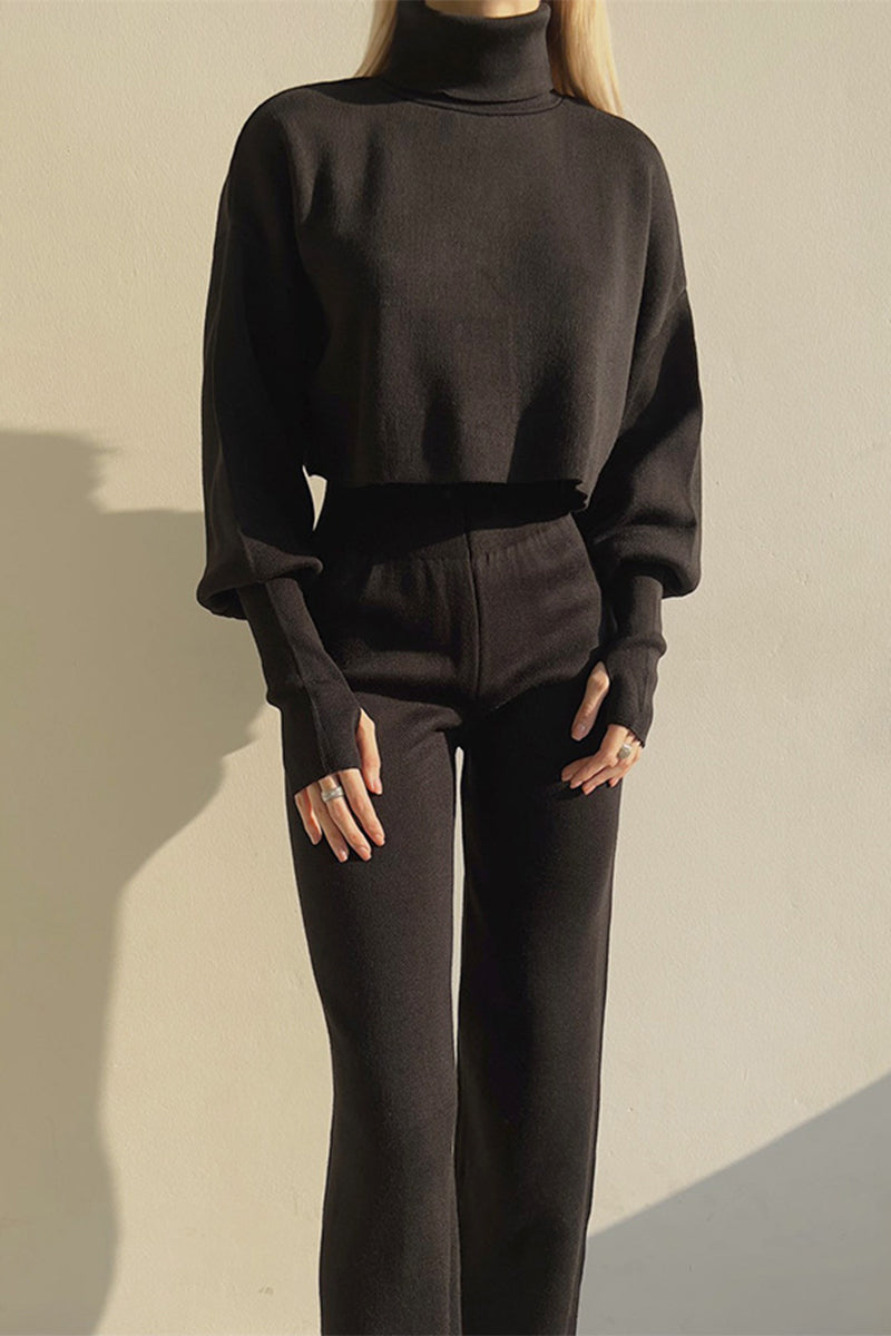 Casual Solid Solid Color Turtleneck Long Sleeve Two Pieces(5 Colors)