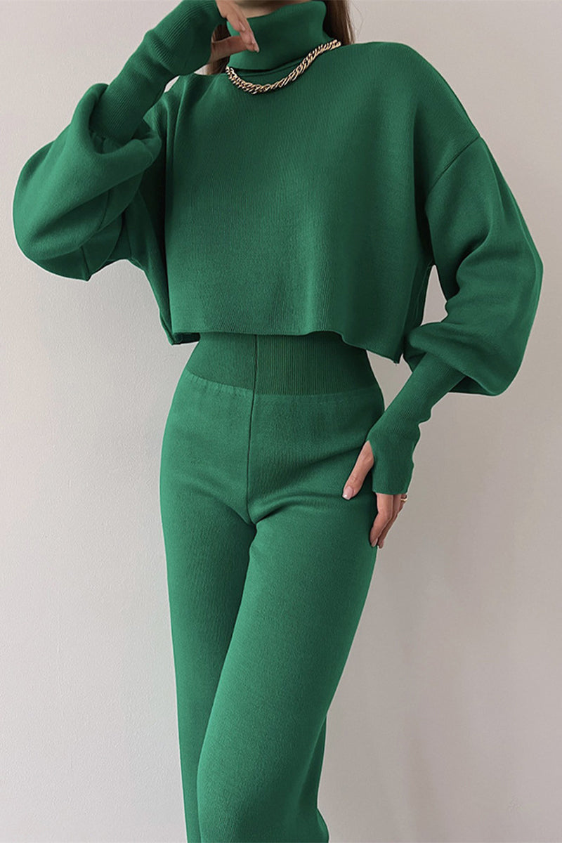 Casual Solid Solid Color Turtleneck Long Sleeve Two Pieces(5 Colors)