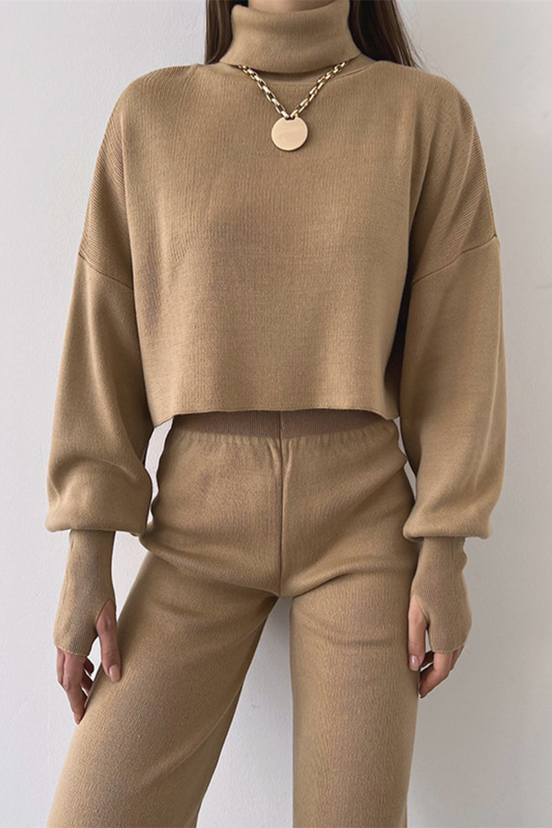 Casual Solid Solid Color Turtleneck Long Sleeve Two Pieces(5 Colors)