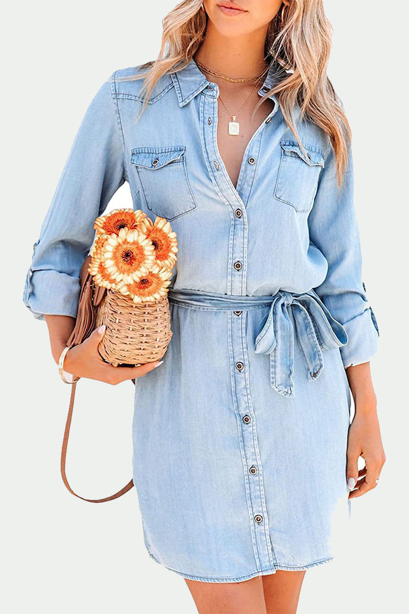 Elegant Solid Frenulum Turndown Collar Long Sleeve Loose Denim Dresses