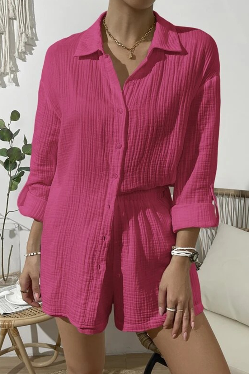 Casual Simplicity Solid Fold Turndown Collar Long Sleeve Two Pieces