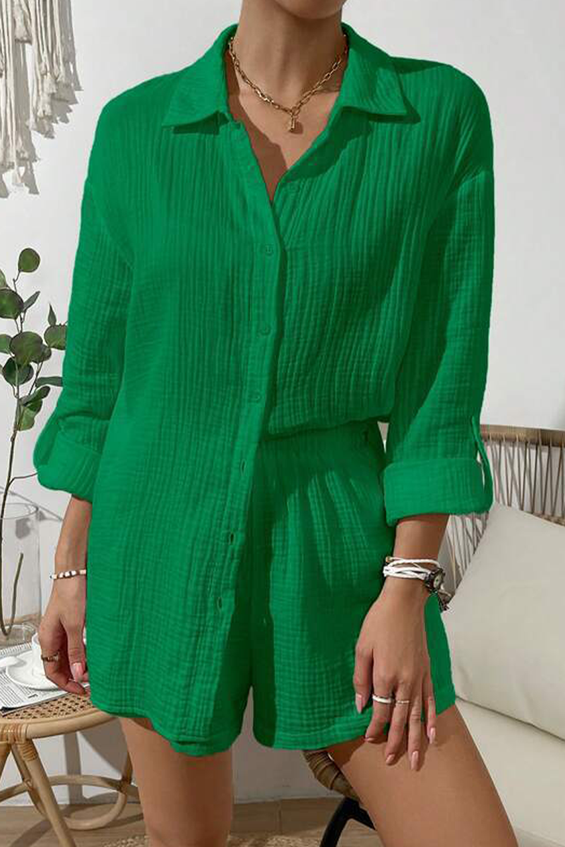 Casual Simplicity Solid Fold Turndown Collar Long Sleeve Two Pieces