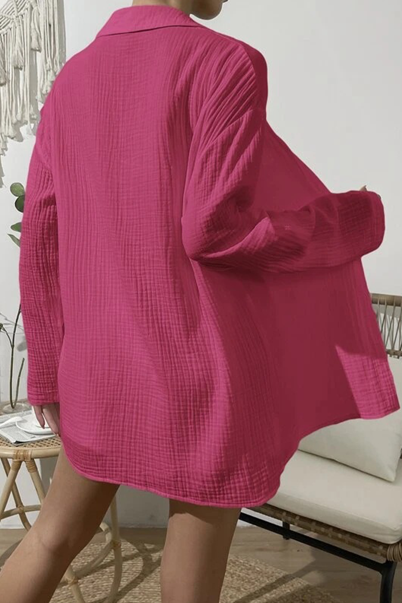 Casual Simplicity Solid Fold Turndown Collar Long Sleeve Two Pieces