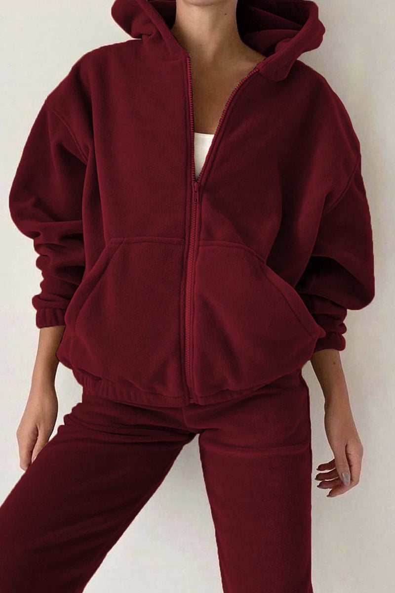 Casual Solid Zipper Hooded Collar Long Sleeve Two Pieces