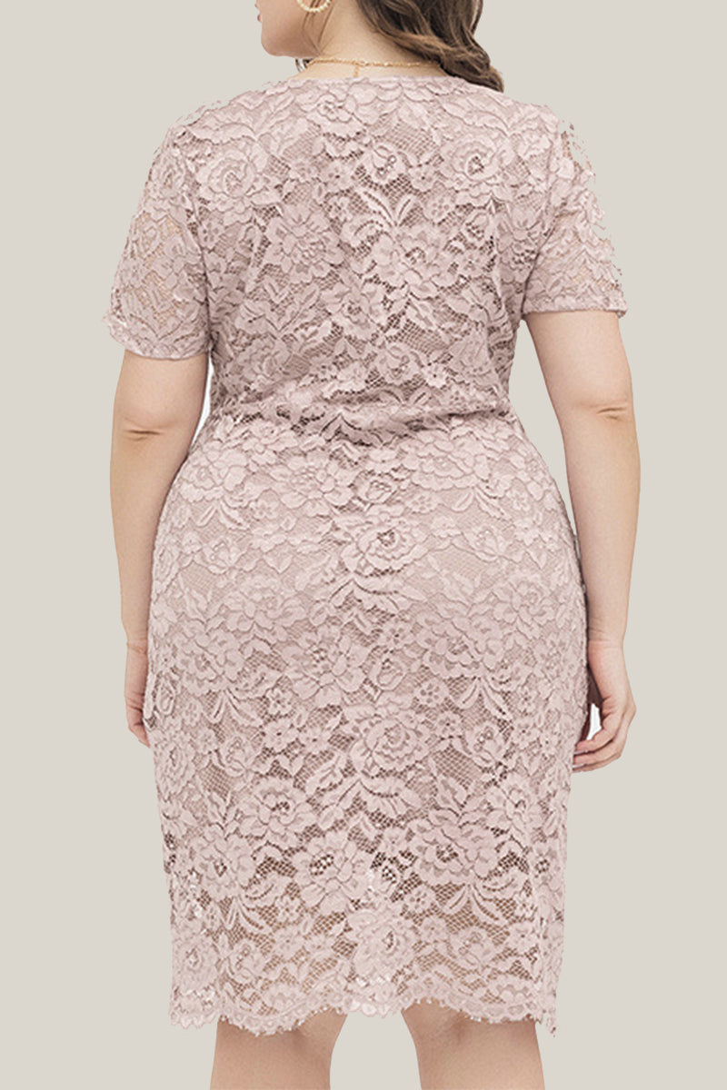 Sexy Solid Lace V Neck Lace Dress Plus Size Dresses