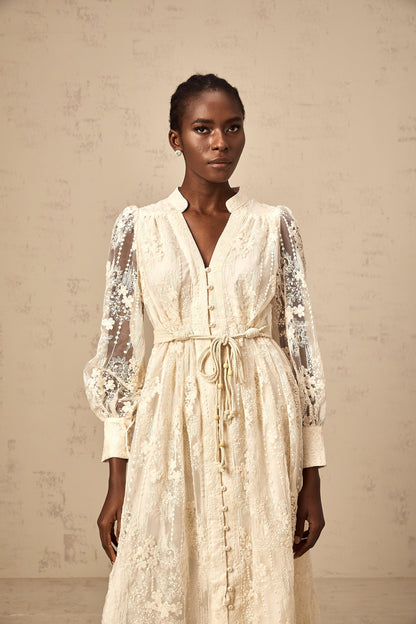 Roxane neutrals lace-embroidered midi dress