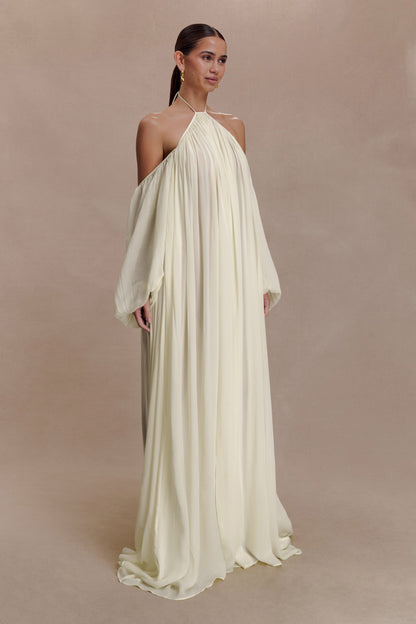 Chiffon Halter Neck Backless Maxi Dress